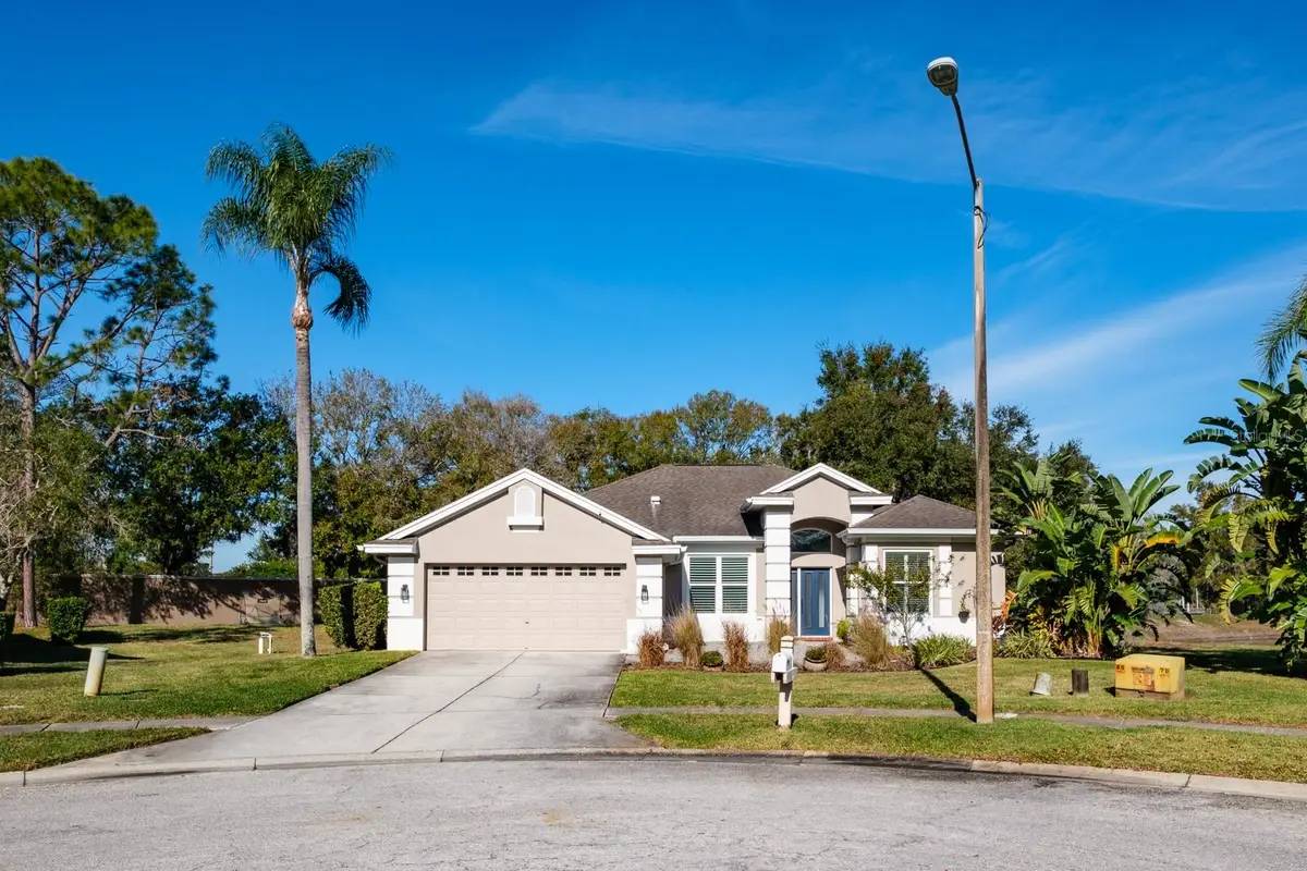 438 Equine Drive, Tarpon Springs, FL 34688 - Image #1