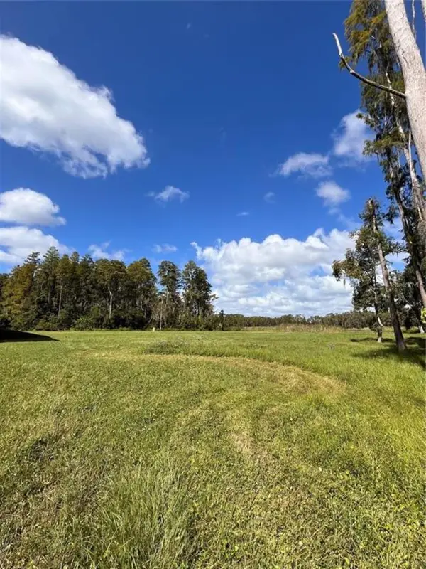 1029 Van Dyke Road, LUTZ, FL 33548