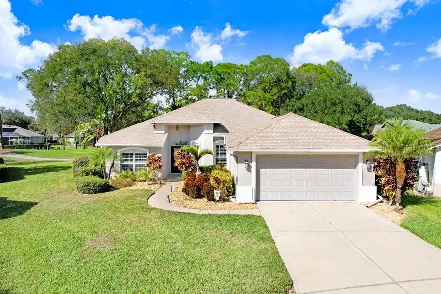 5302 Waterleaf Court, Valrico, FL 33596 - Image #3