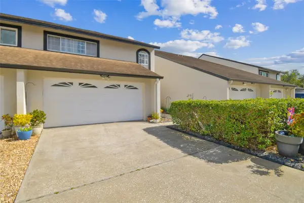 4207 Arborwood Lane, TAMPA, FL 33618