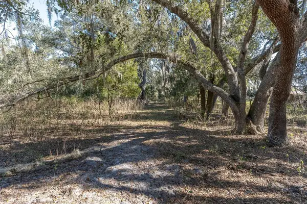 Stanley Road, PLANT CITY, FL 33565