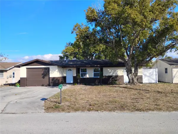 11234 Areca Drive, PORT RICHEY, FL 34668