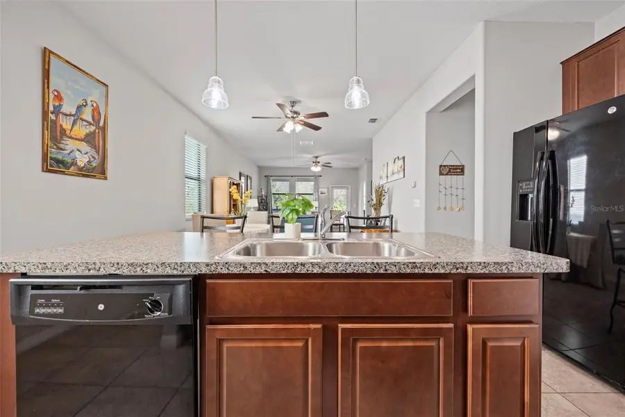 21362 Wistful Yearn Drive, Land O Lakes, FL 34637 - Image #3