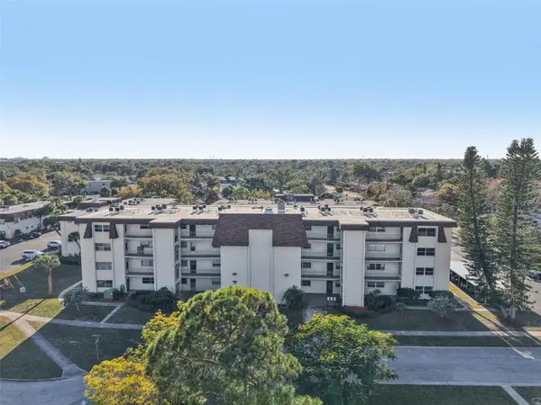 209 NE Lincoln Circle N #309, ST PETERSBURG, FL 33702