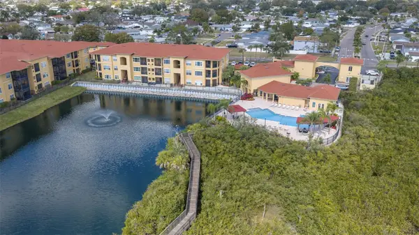 4333 N Bayside Village Drive S #308, TAMPA, FL 33615