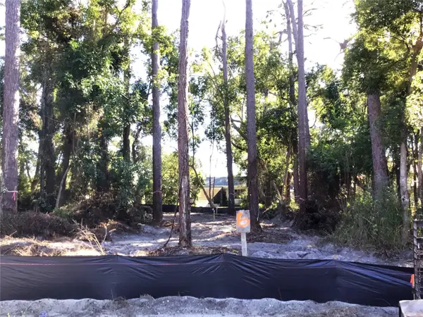 1298 Almaria Court, PALM HARBOR, FL 34683