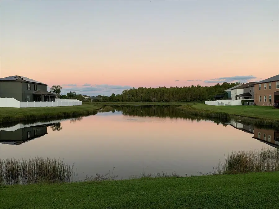 3676 Seven Seas Avenue, Land O Lakes, FL 34638 - Image #2