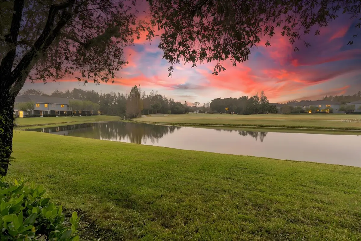 18214 Paradise Point Drive, Tampa, FL 33647 - Image #1