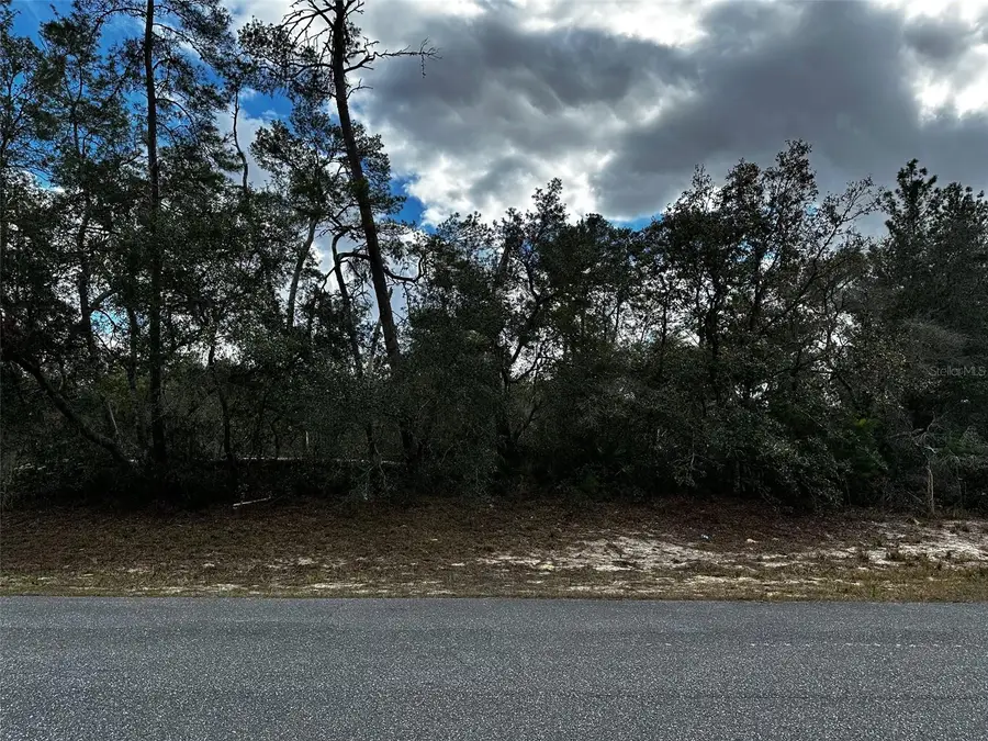 Sw 168th Loop, Ocala, FL 34473 - Image #2