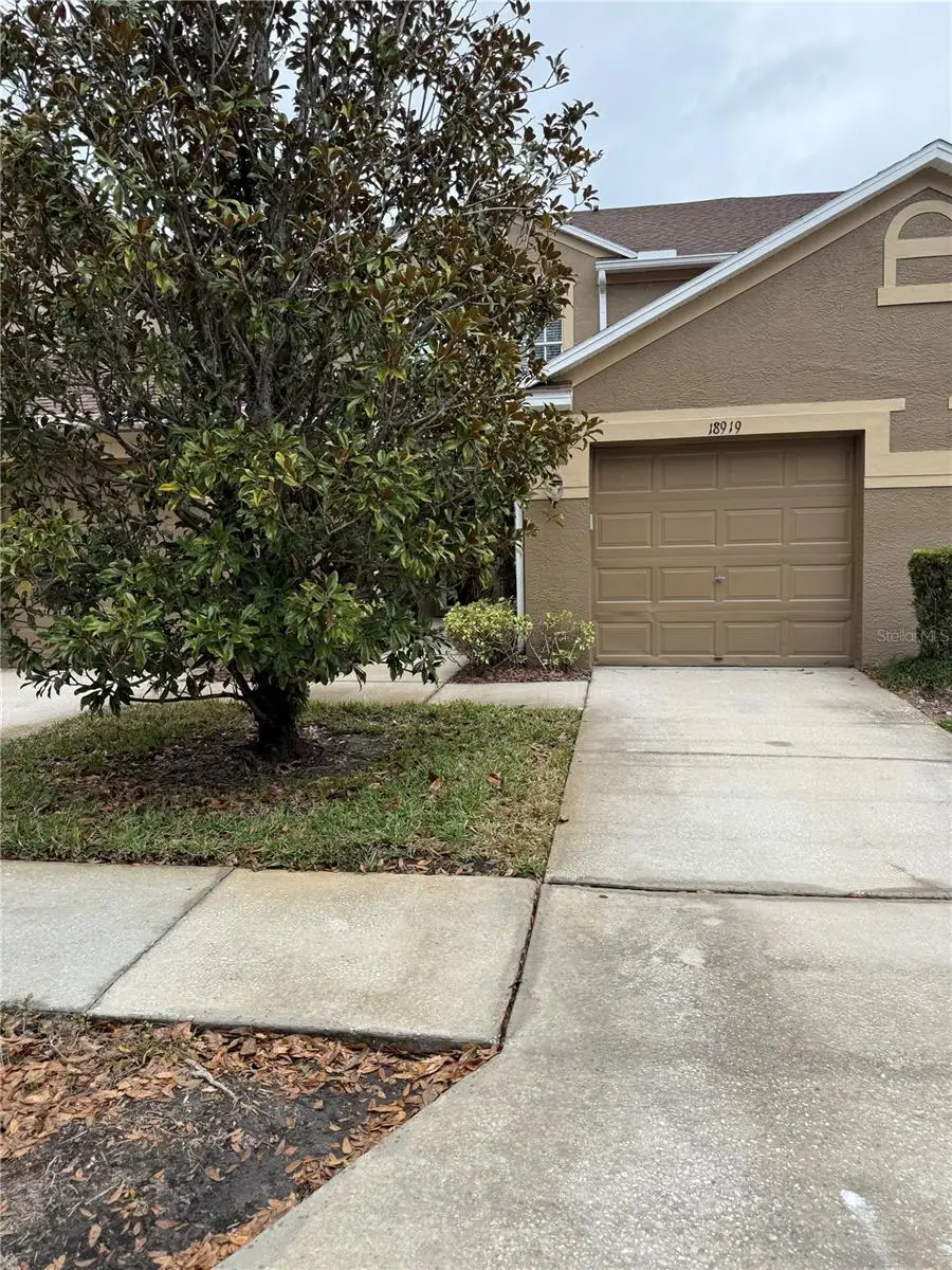 18919 Duquesne Drive, Tampa, FL 33647 - Image #1