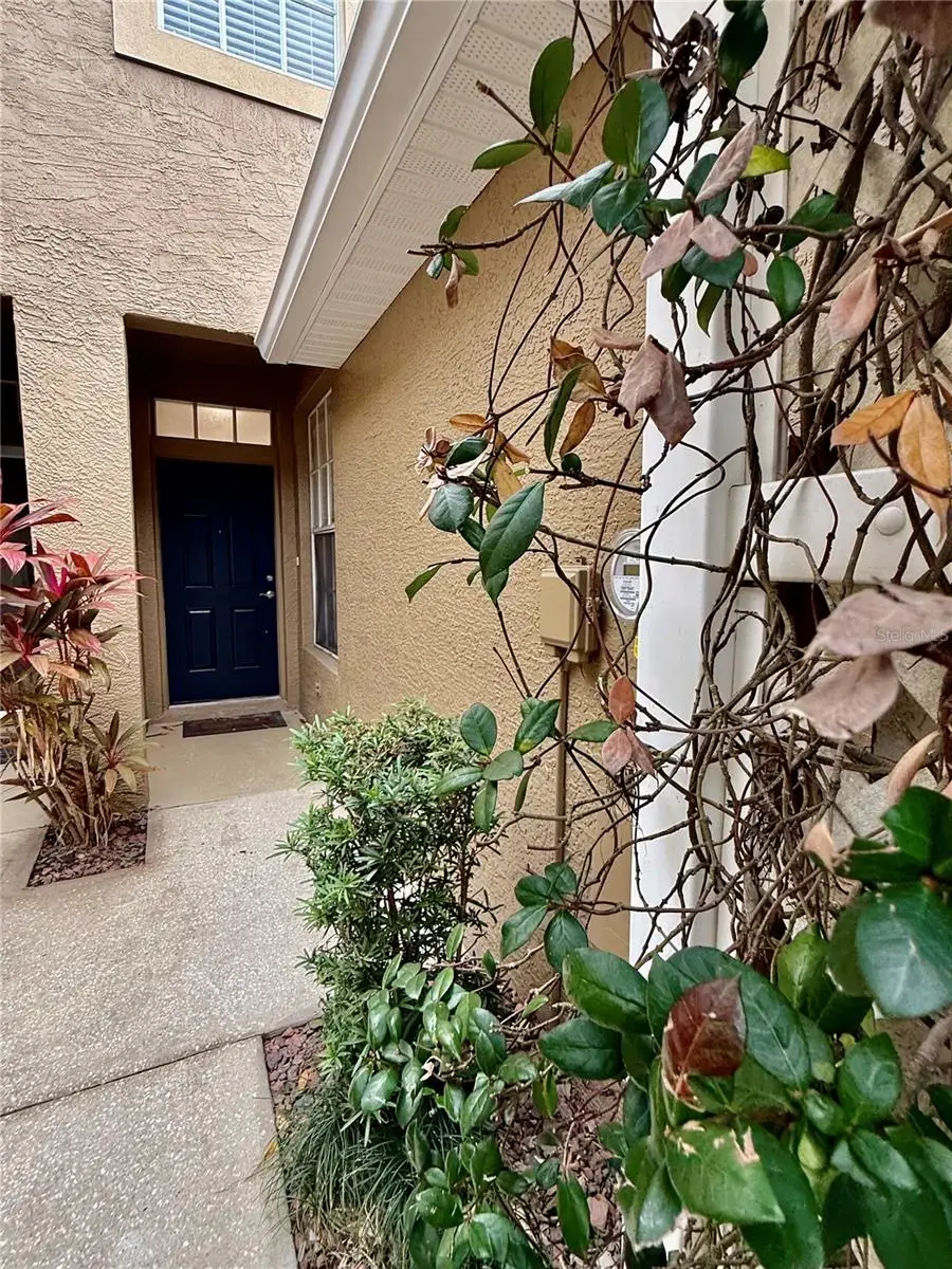 18919 Duquesne Drive, Tampa, FL 33647 - Image #3