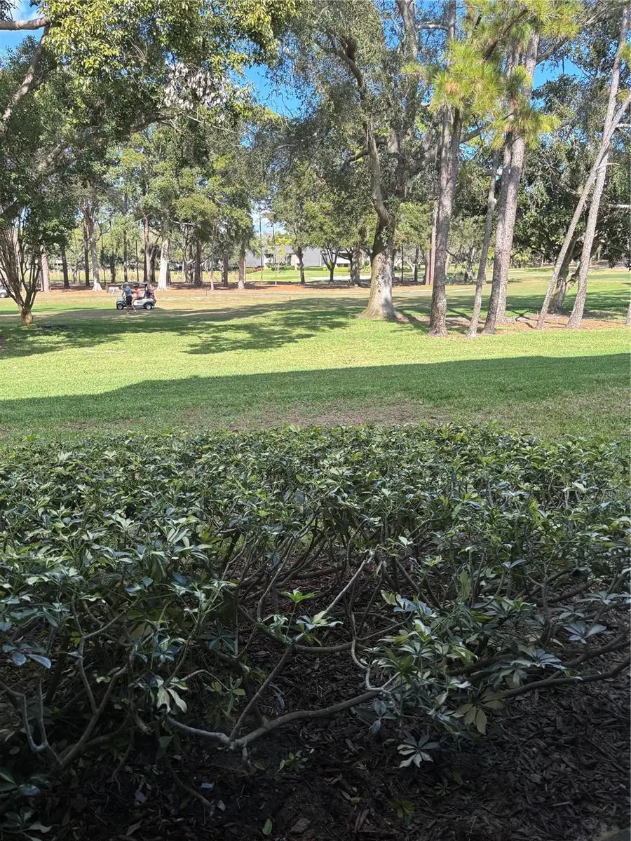 36750 Us Highway 19 N #8-107, Palm Harbor, FL 34683 - Image #2