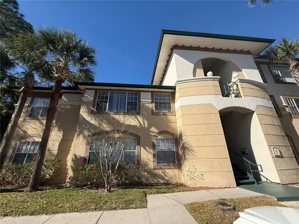 17114 Carrington Park Drive #207, TAMPA, FL 33647
