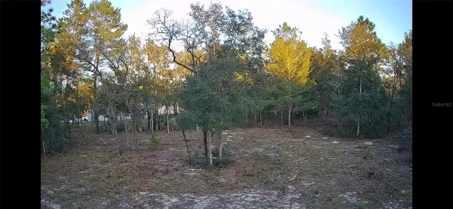 6599 N Varsity Avenue, Citrus Springs, FL 34434 - Image #2