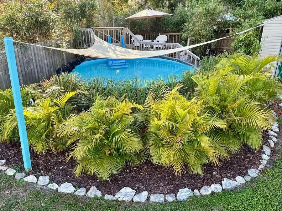 3549 Dellefield Street, New Port Richey, FL 34655 - Image #2