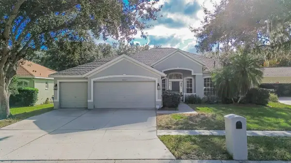 4423 Merrick Run Lane, VALRICO, FL 33596