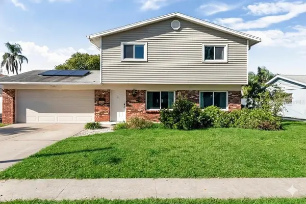 4716 Soapstone Drive, TAMPA, FL 33615