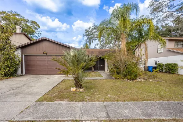 14841 Oak Vine Drive, LUTZ, FL 33559