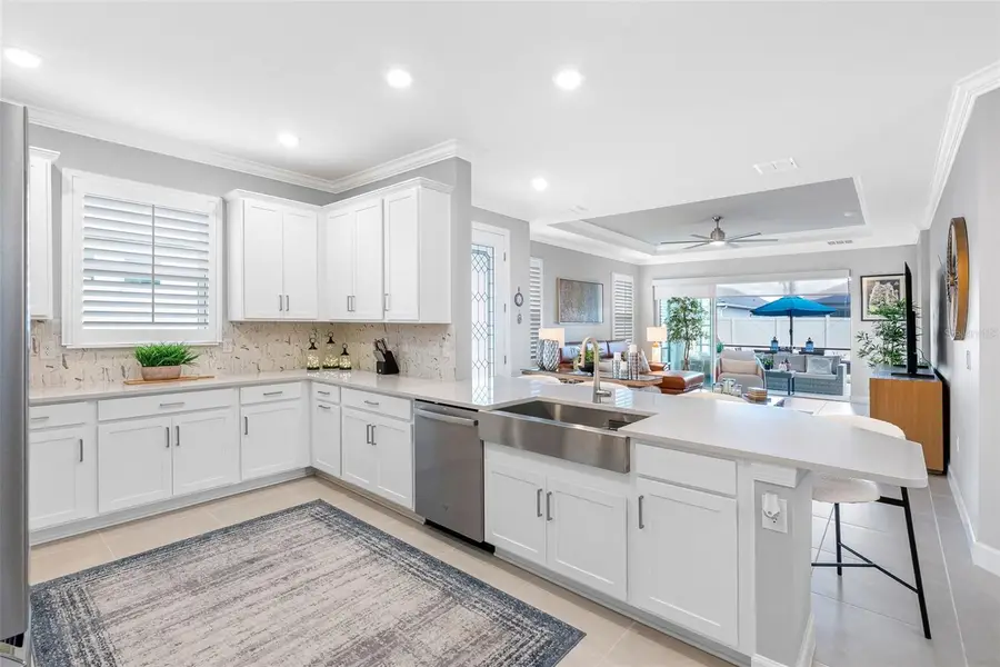 29477 Velletri Lane, Wesley Chapel, FL 33543 - Image #2