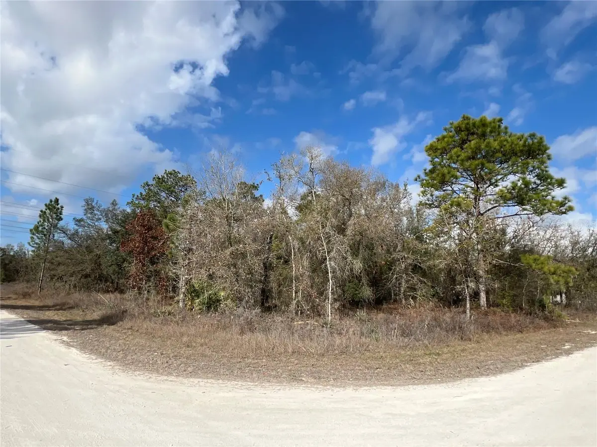 16165 Courlan Road, Brooksville, FL 34614 - Image #1