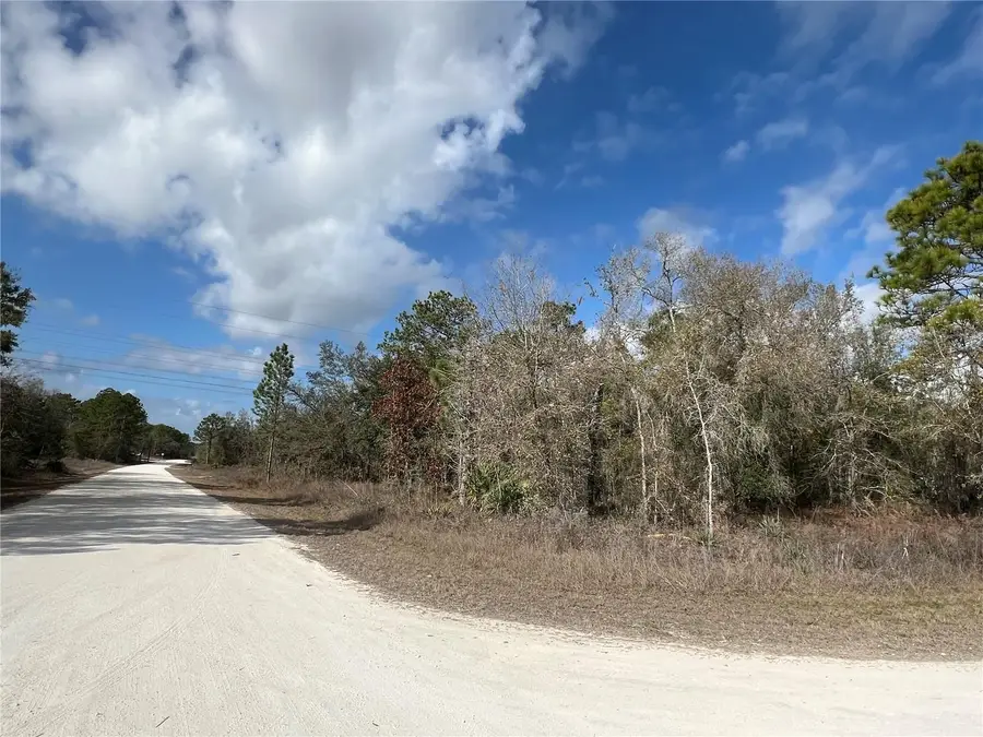 16165 Courlan Road, Brooksville, FL 34614 - Image #2