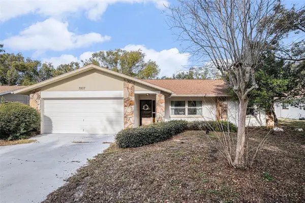 7807 Duck Pond Court, HUDSON, FL 34667