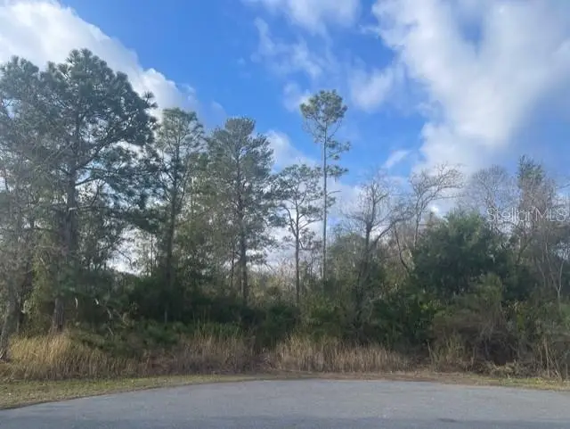 Phoebe Court, Weeki Wachee, FL 34614 - Image #2