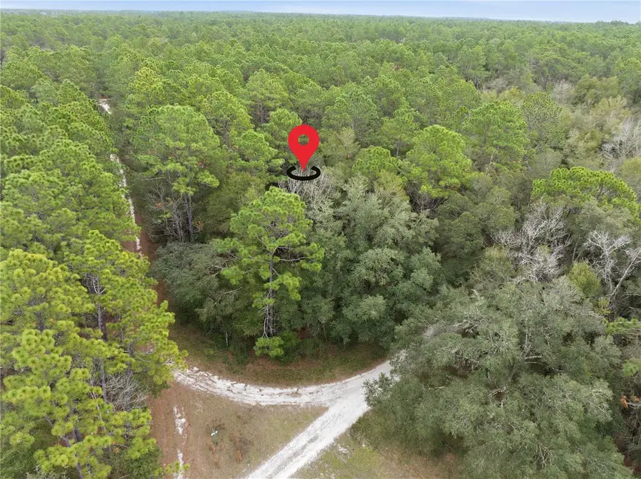 SW 36th Loop, Dunnellon, FL 34432 - Image #2