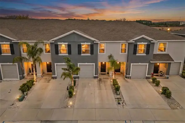 2926 Suncoast Plains Drive, ODESSA, FL 33556