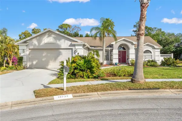 13732 Triumph Court, HUDSON, FL 34667