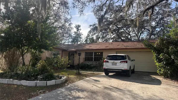 7012 Doreen Street, TAMPA, FL 33617