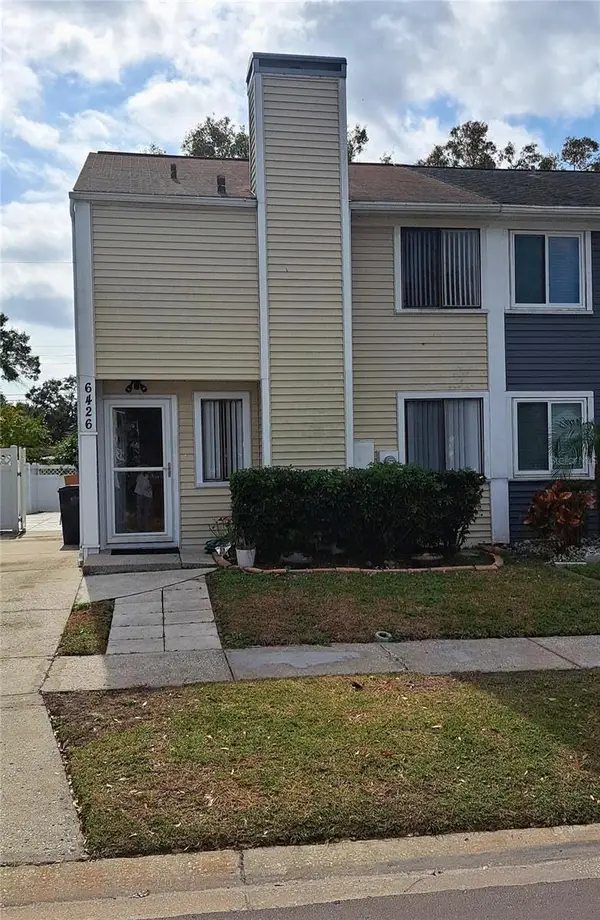 6426 Rockpointe Drive, TAMPA, FL 33634