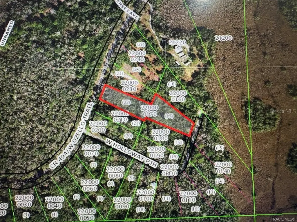 10043 W Holloway Path, Crystal River, FL 34429 - Image #1