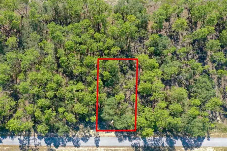 1 SW Alvarez Road, Dunnellon, FL 34431 - Image #2