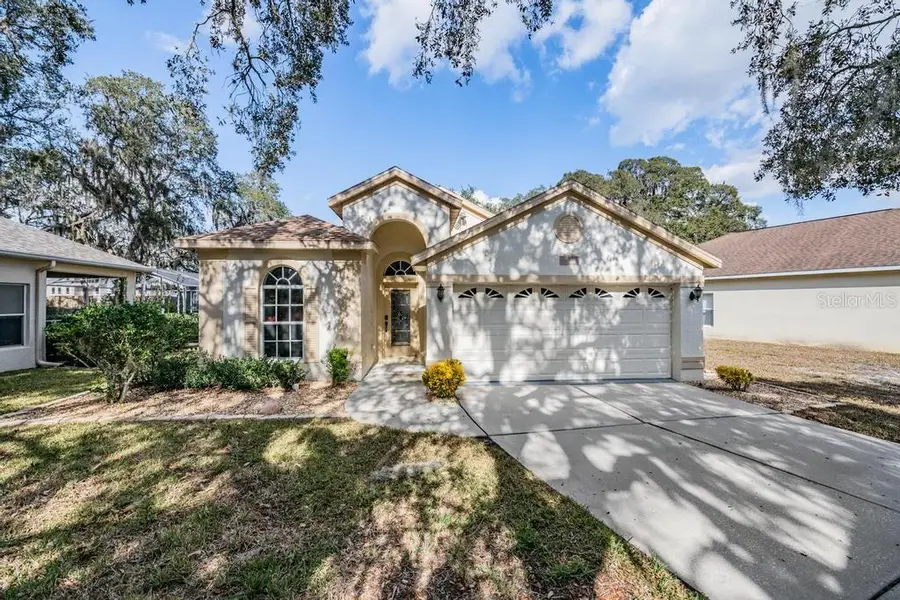 16501 Sandhill Crane Drive, Spring Hill, FL 34610 - Image #2