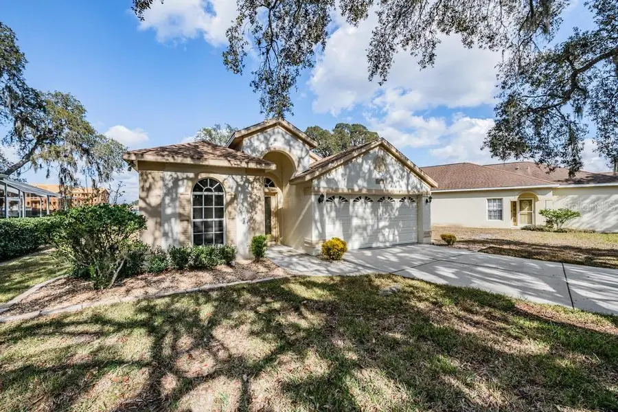 16501 Sandhill Crane Drive, Spring Hill, FL 34610 - Image #3