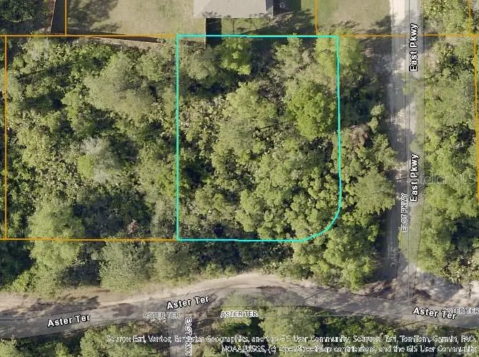 TBD Aster Terrace, Deland, FL 32724 - Image #1