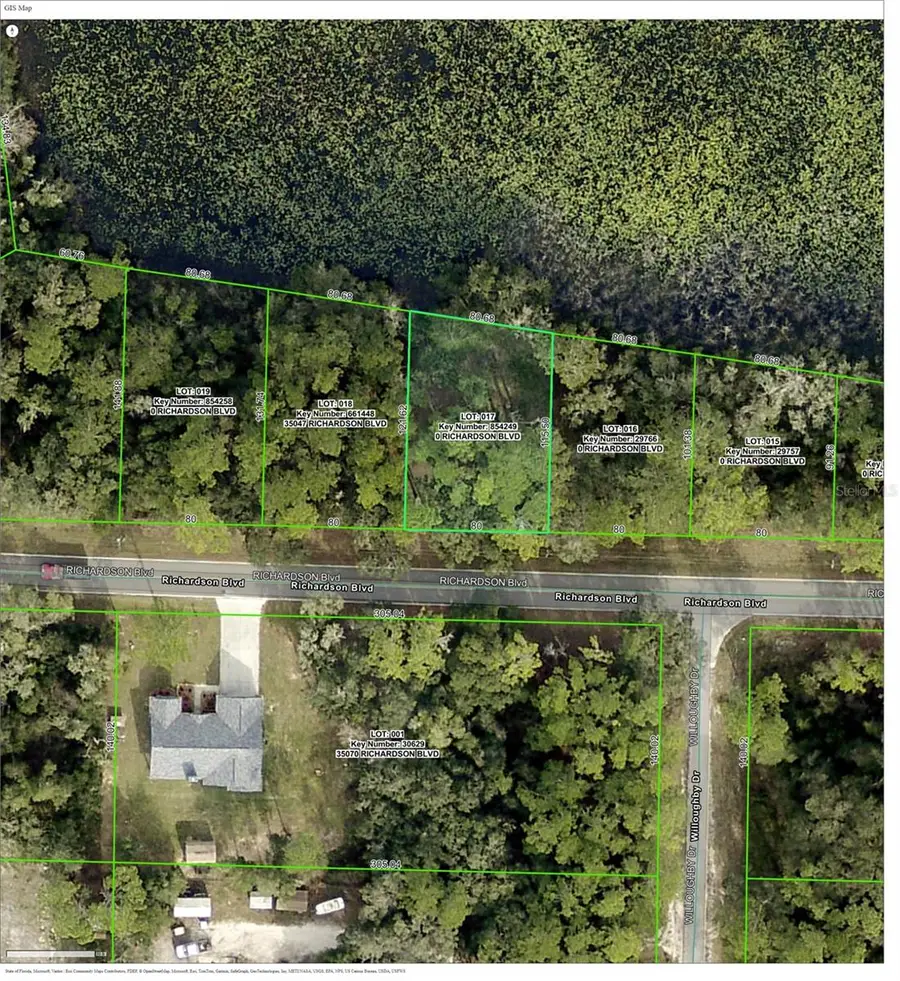 TBD Richardson Boulevard, Webster, FL 33597 - Image #2