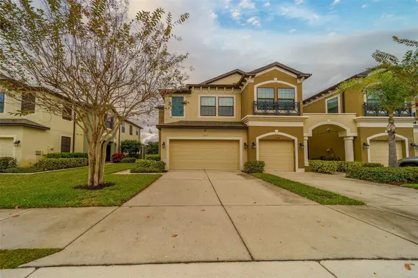 11437 Crowned Sparrow Lane, TAMPA, FL 33626