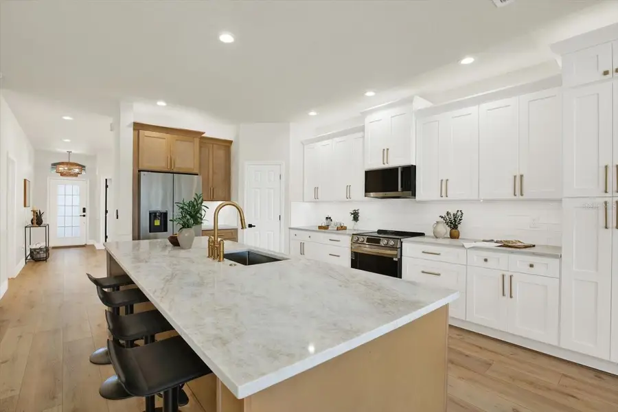 23916 Plantation Palms Boulevard, Land O Lakes, FL 34639 - Image #3