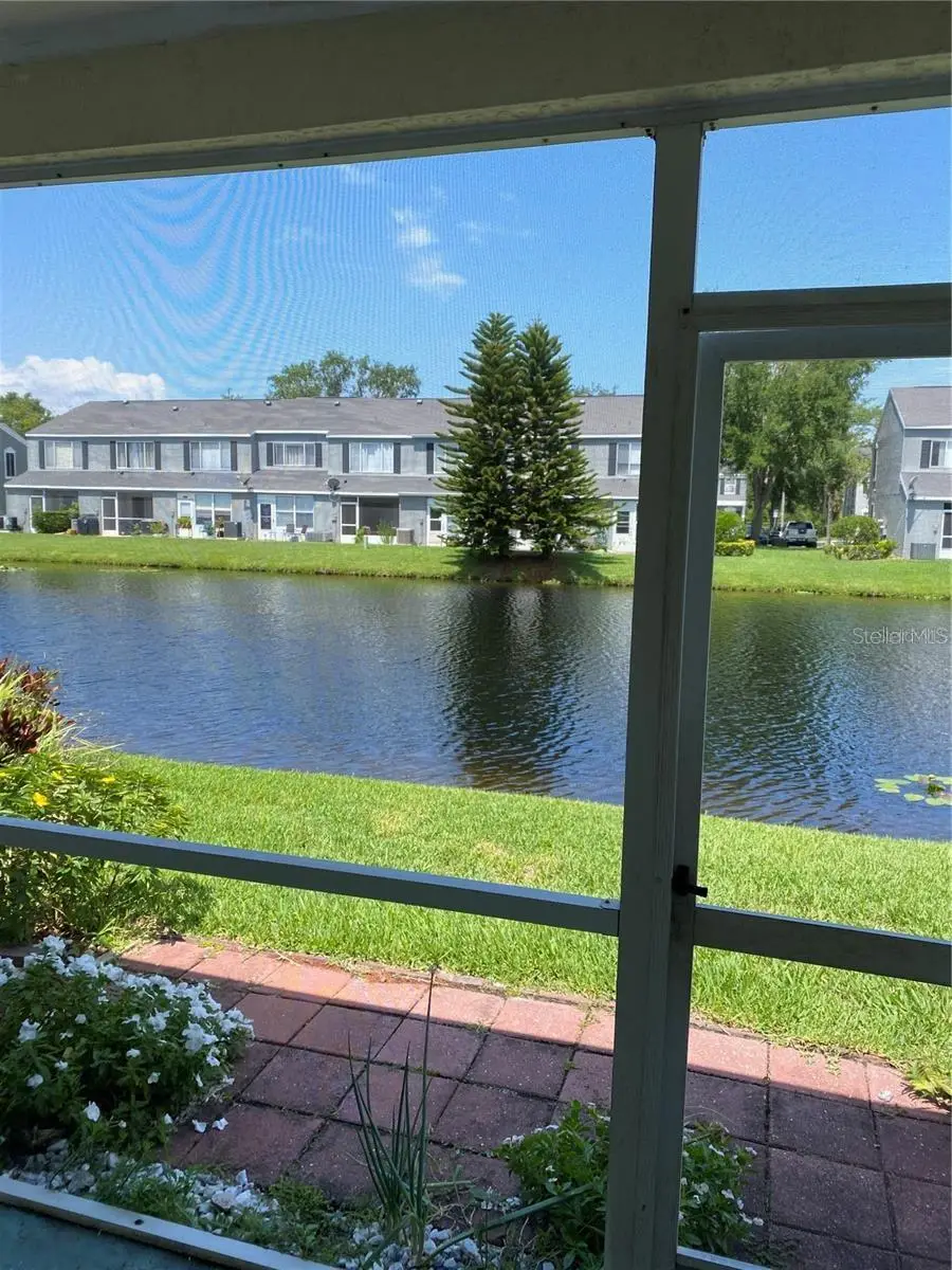 244 Countryside Key Boulevard, Oldsmar, FL 34677 - Image #2