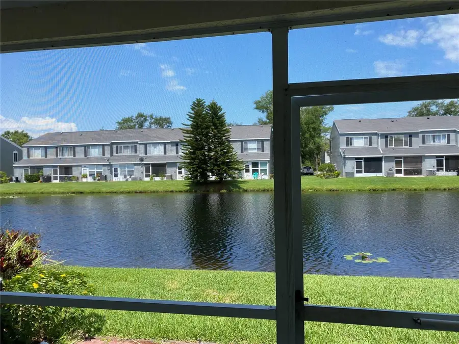 244 Countryside Key Boulevard, Oldsmar, FL 34677 - Image #3