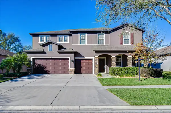 1521 Banner Elk Street, VALRICO, FL 33594