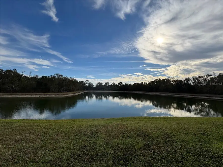 2808 Conch Hollow Drive, Brandon, FL 33511 - Image #2