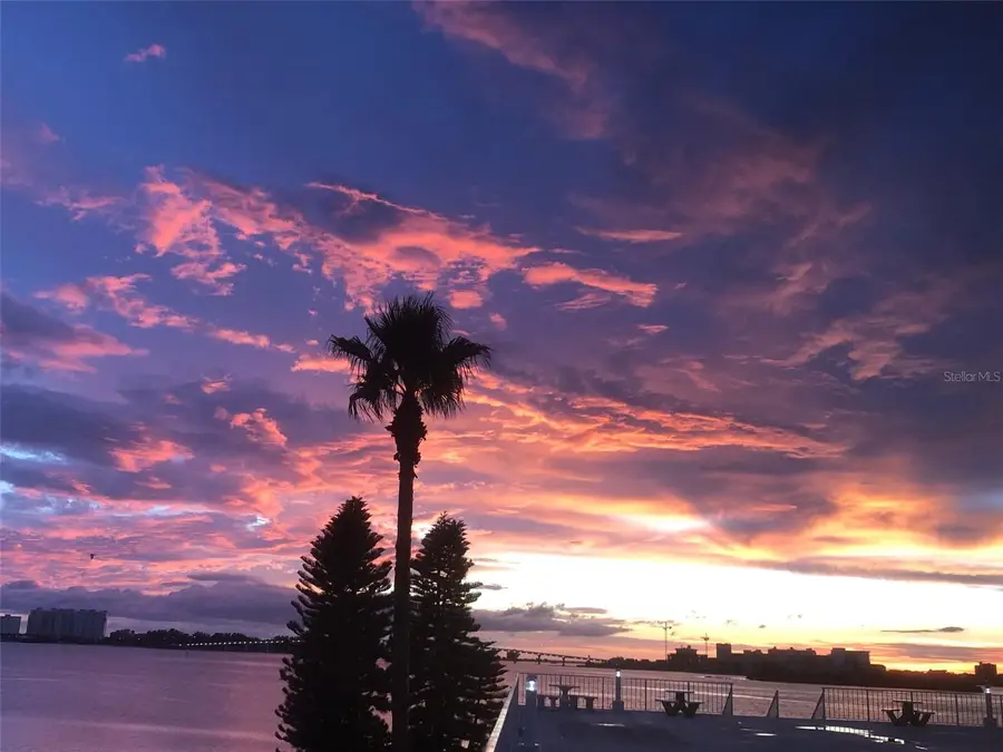 100 Pierce Street #305, Clearwater, FL 33756 - Image #3