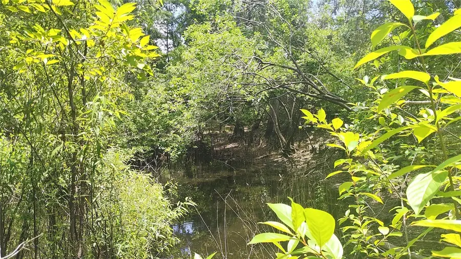 0 Cyril Drive, Dade City, FL 33523 - Image #2