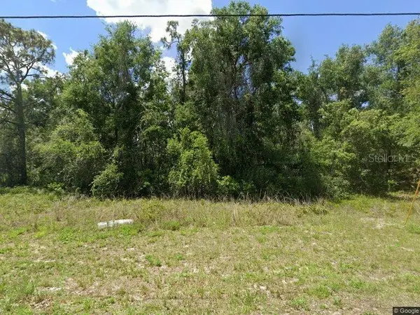 Idle A While Circle, DADE CITY, FL 33523