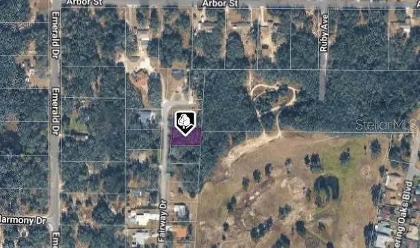 6176 Fairway Drive, Ridge Manor, FL 33523 - Image #1