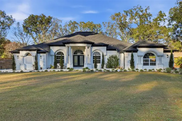 28233 Sonny Drive, WESLEY CHAPEL, FL 33544