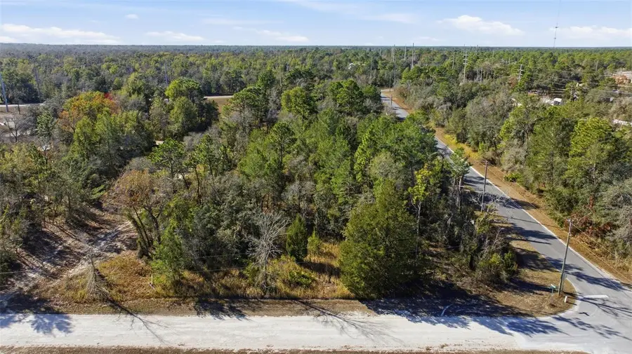 12246 Millington Avenue, Brooksville, FL 34614 - Image #2